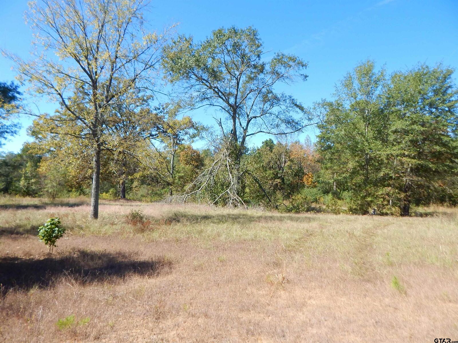 Property Photo:  Tbd 3.5 Acres Hwy 155  TX 75644 