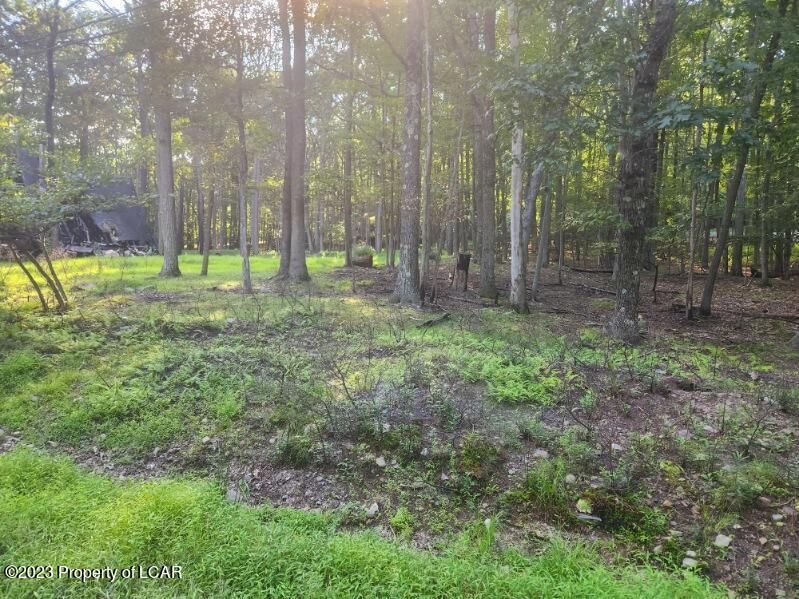 Property Photo:  Lot 004 Vacation Drive  PA 18661 