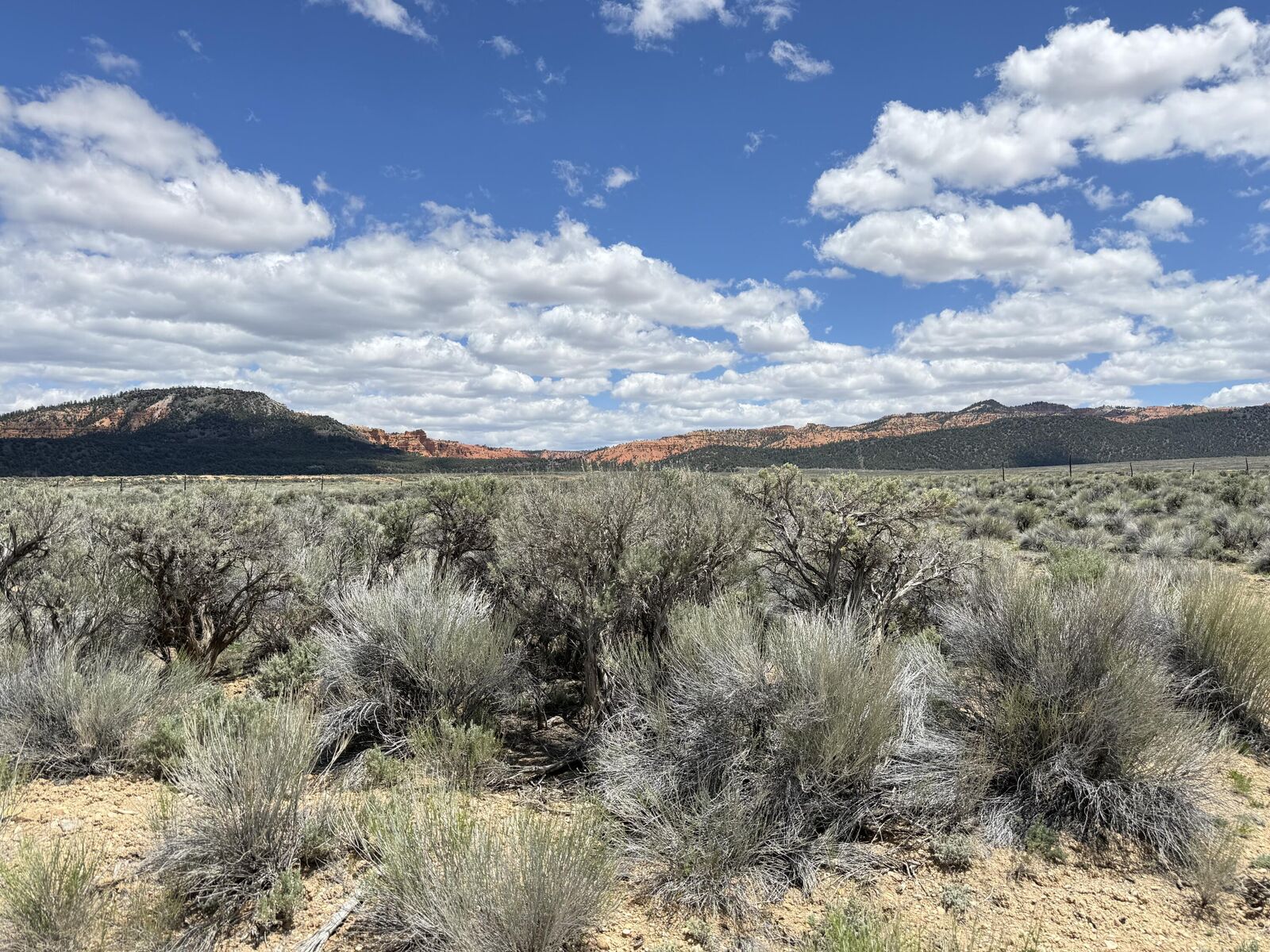 Property Photo:  4369 S Scenic Dr  UT 84759 