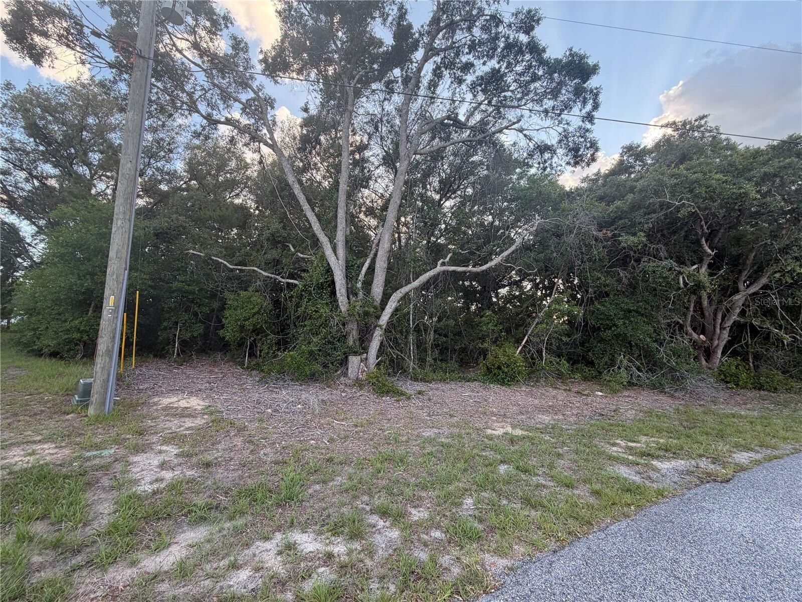 Property Photo:  Lot 4  FL 34473 