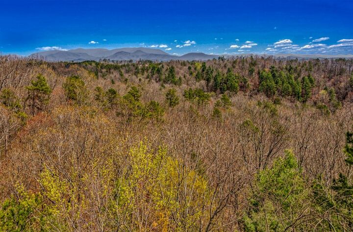 Property Photo:  54 Ac Legion Road  GA 30540 