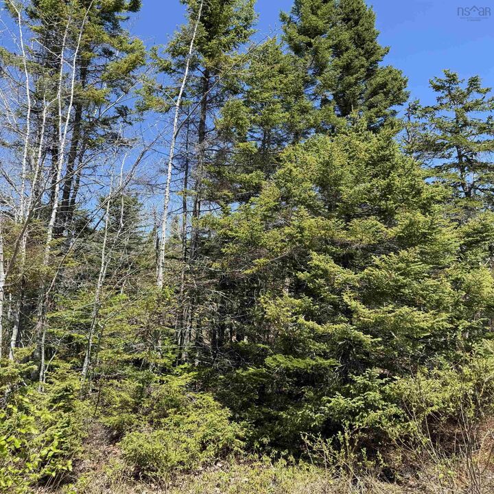 Property Photo:  Lot 22 Marble Mountain Road Road  NS B0E 2Y0 