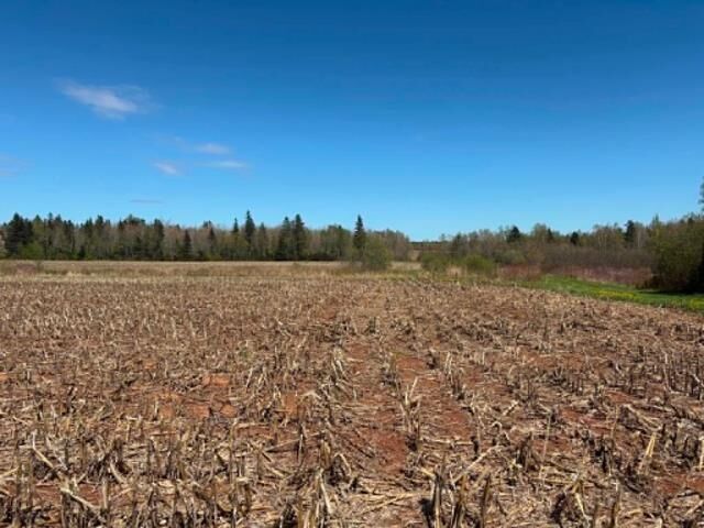 Photo de la propriété:  37196 Western Road  PE C0B 1H0 