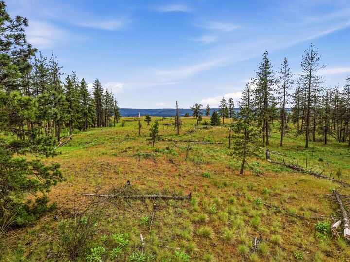 Property Photo: 6582 Stony Way WA 99026