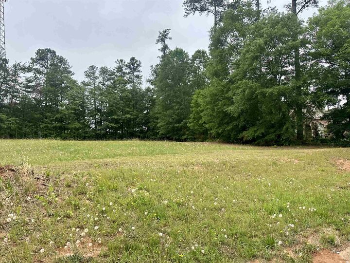 Property Photo:  528 Magnolia Blossom Ct Court ***  SC 29301 