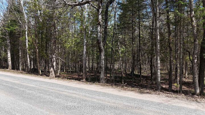 Property Photo:  Tbd Glamor Lake Road  ON K0M 1R0 