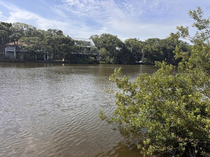 Property Photo:  705 Sandpiper Ridge Road  SC 29438 