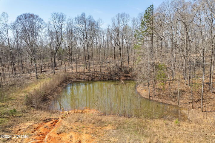 Property Photo: 320 Peddy Vestal Loop TN 38340