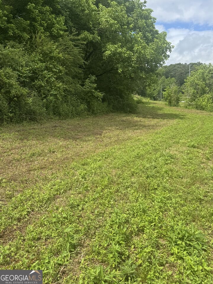 Property Photo: 00 Tails Creek Rd GA 30540