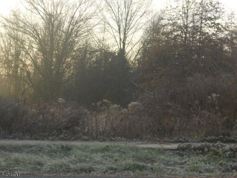 Property Photo:  0 Toad Lane  NJ 08551 