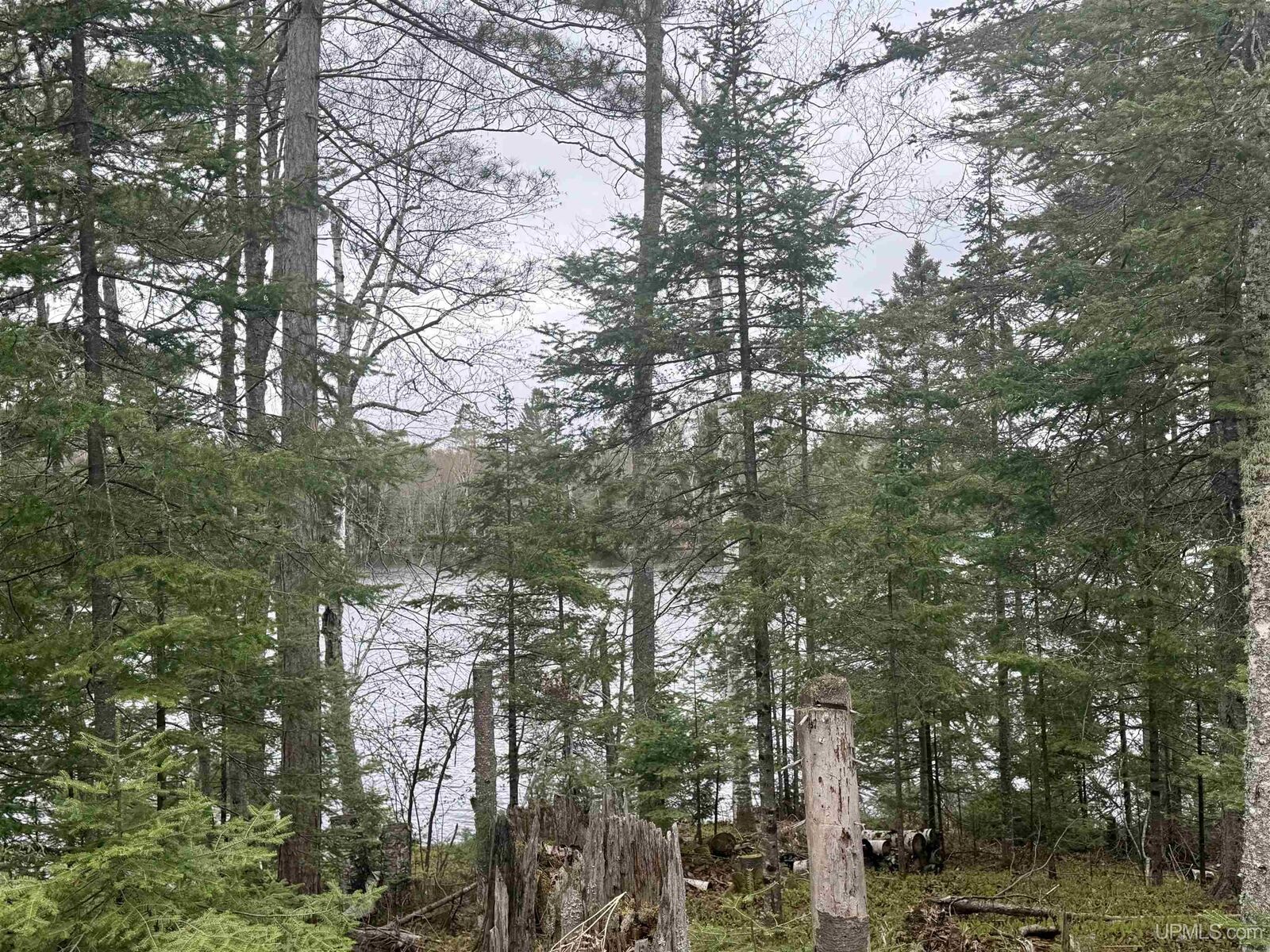 Property Photo: Tbd N Horseshoe Lake Road MI 49879