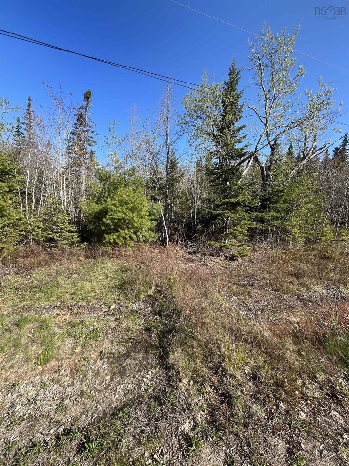 Property Photo:  Lot 2 Ridge Road  NS B0R 1H0 