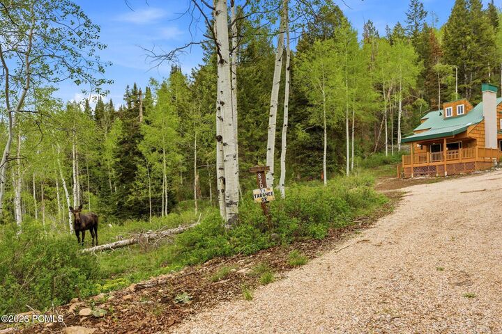 Property Photo: 54 E Targhee Drive UT 84036