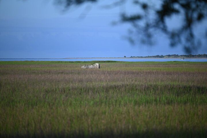 Property Photo: 0 Cole Island SC 29439