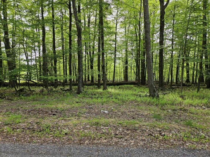 Property Photo:  15 Carribean Rd  PA 15801 