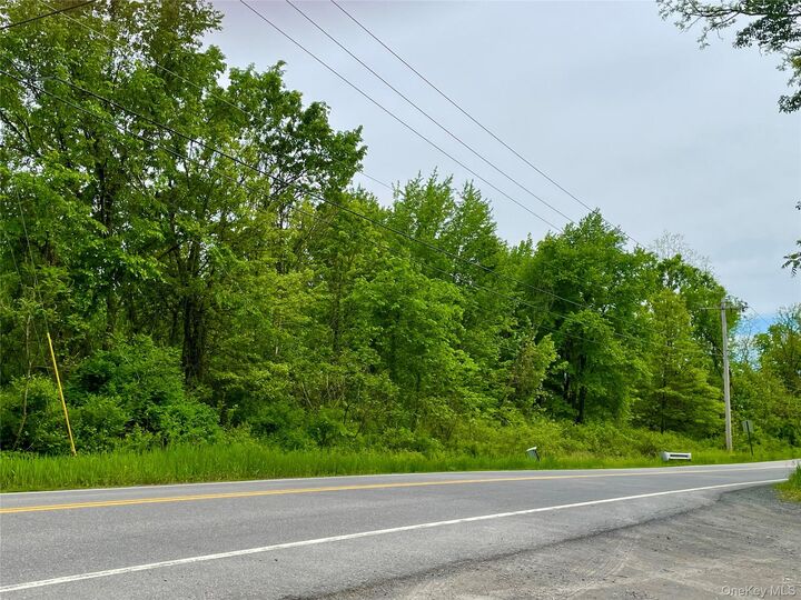Property Photo:  Orchard Drive  NY 12568 