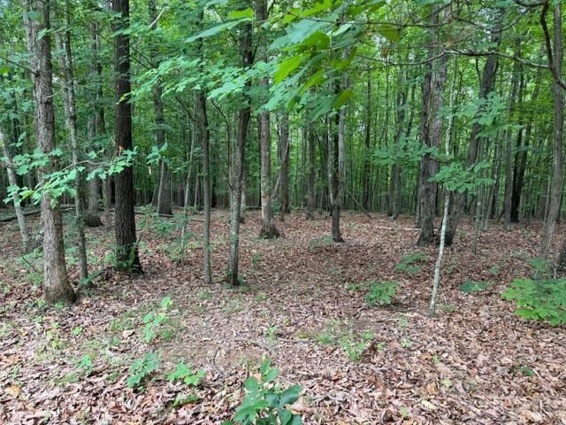 Property Photo:  2 Red Bird Drive  VA 24553 