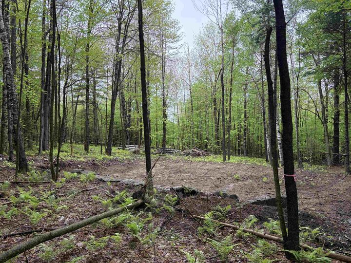 Property Photo:  114 Lewis Hill Road  NH 03574 