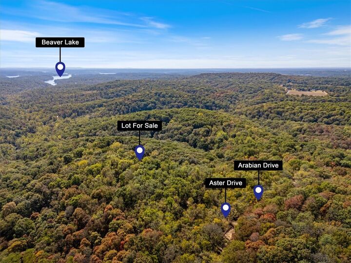 Property Photo:  Lot 261 Aster Drive  AR 72756 
