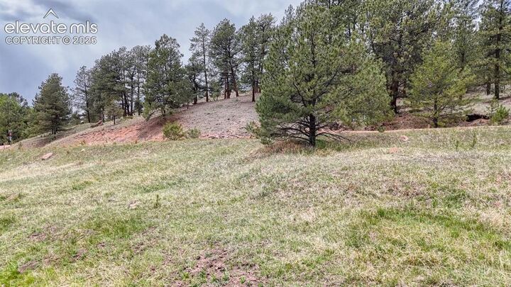 Property Photo:  42 Rabbit Circle  CO 80816 