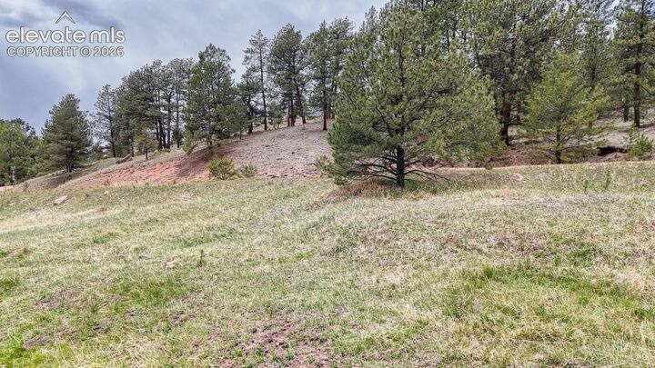 Property Photo:  42 Rabbit Circle  CO 80816 