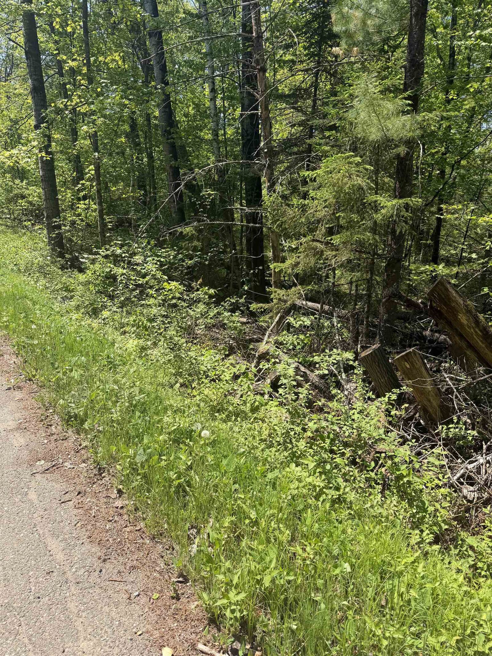 Property Photo:  Lower Dam Road 4 &Amp 5  WI 54149 