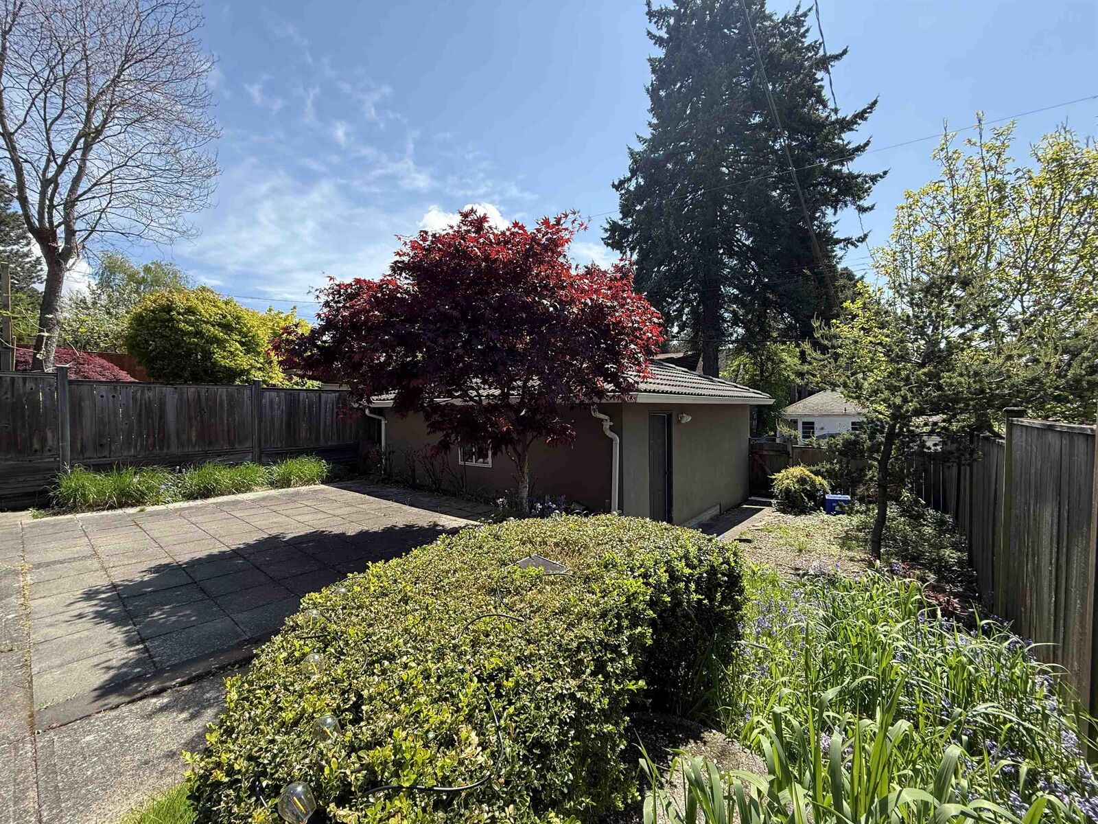 Property Photo:  3900 W 24th Avenue 1 Bed Suite  BC V6S 1M2 