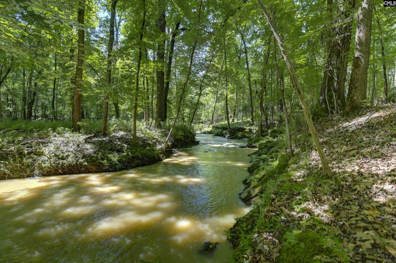 Property Photo:  Fulmer  SC 29016 