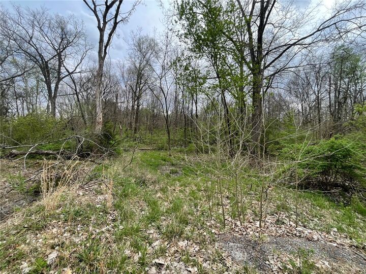 Property Photo:  075 Street  IL 62428 