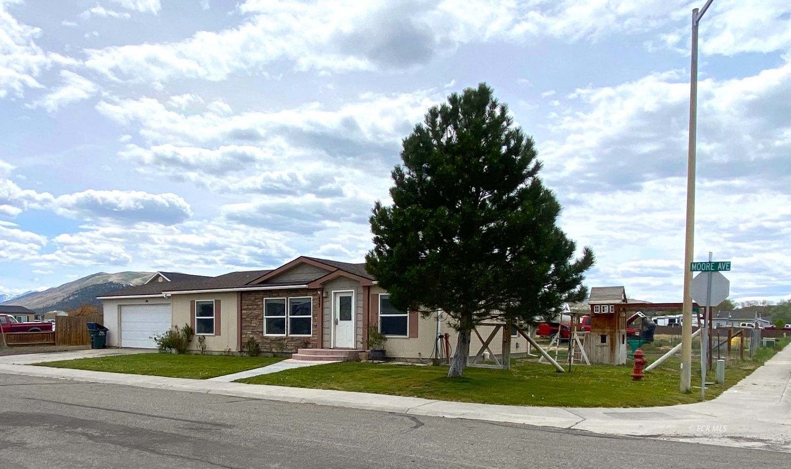 Property Photo:  437 Moor Avenue  NV 89835 