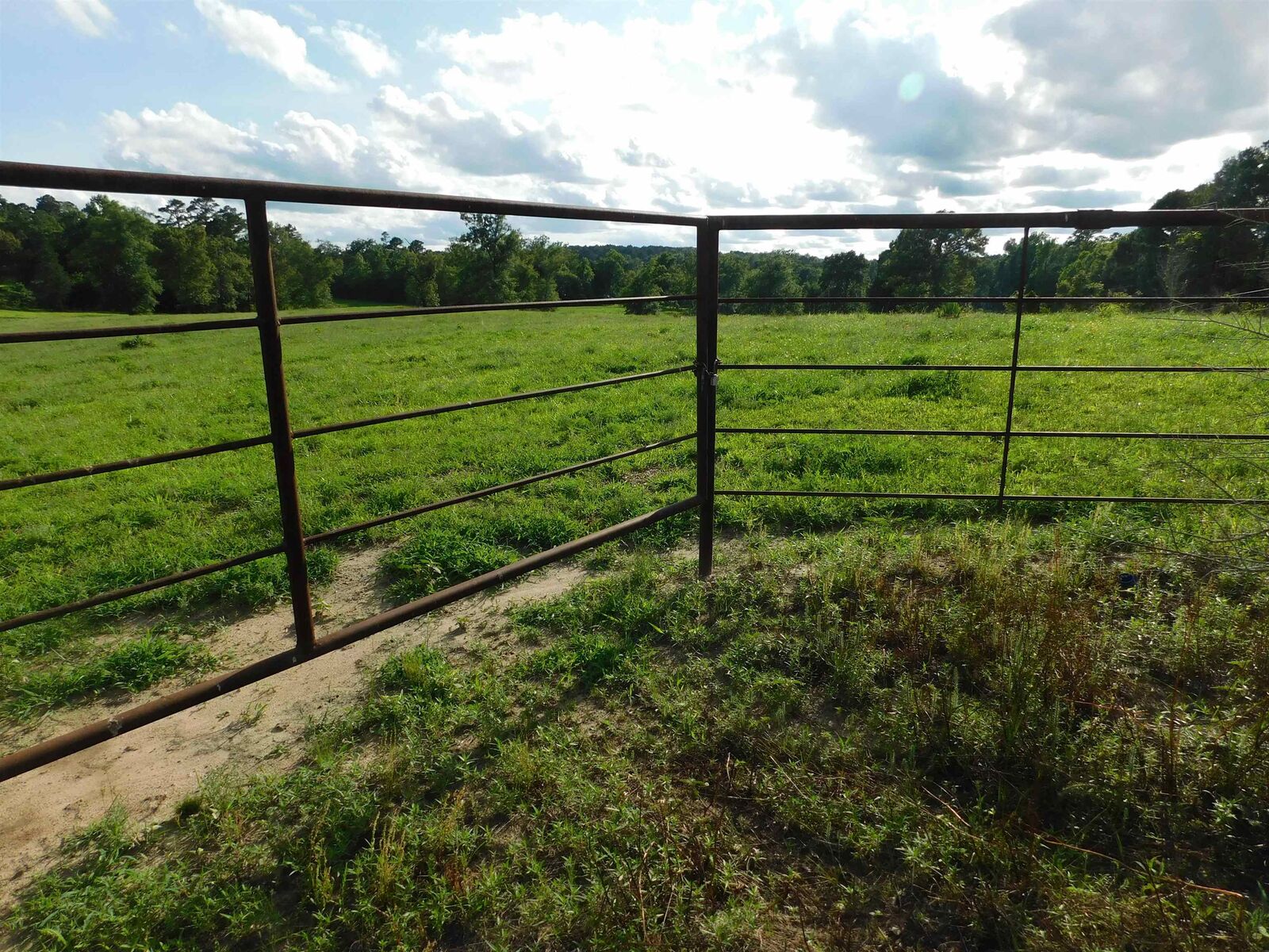 Property Photo:  Tbd Groundhog Rd  TX 75647 