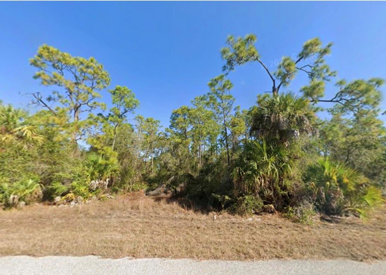 Property Photo:  17083 Carson Avenue  FL 33948 