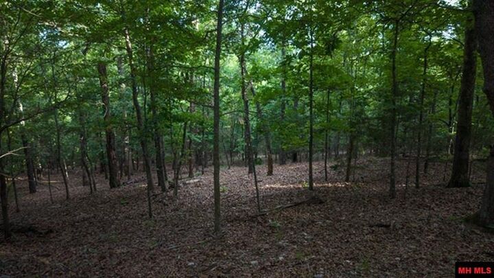 Property Photo:  Lot 2 Cr 804  AR 72537 