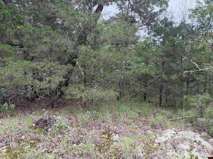 Property Photo: 1031 Old Dolph Road AR 72519