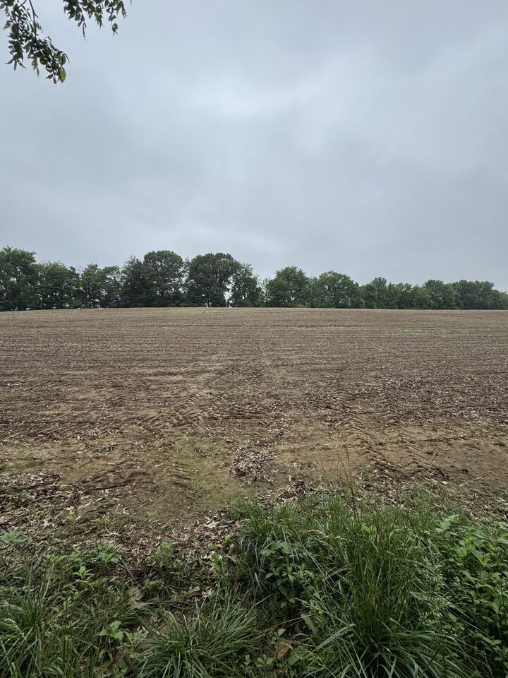 Property Photo: 325 Harts Mill Rd TN 38220