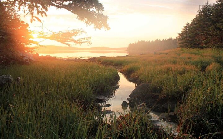Property Photo:  Hartlings Island  NS B0J 2G0 