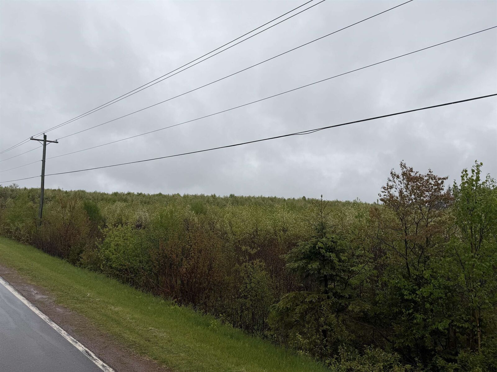 Property Photo:  Rattenbury Road  PE C0A 1N0 