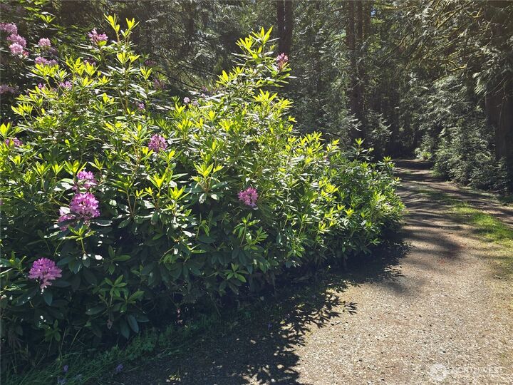 Property Photo: 704 E Promontory Road WA 98584