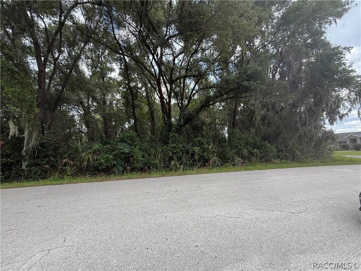 Property Photo:  4133 E Wilma Street  FL 34453 