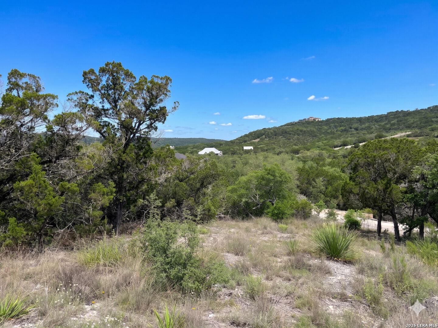 Property Photo: 370 Private Road 1742 TX 78056