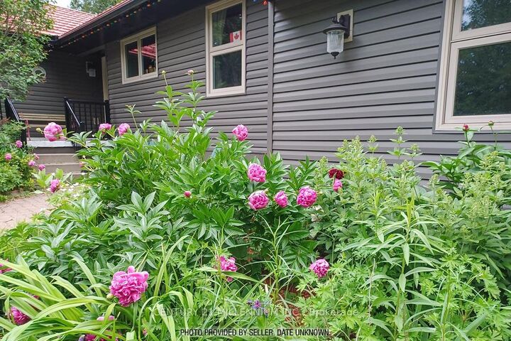 18599 Horseshoe Hill Road — photo 1