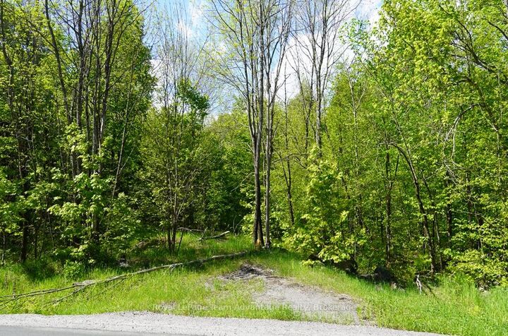 Property Photo:  0 Hurdville Road S  ON P2A 0B5 