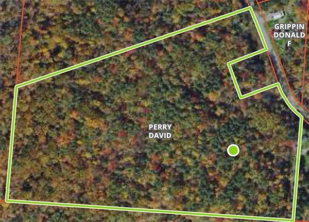 Property Photo: 00 Straw Hill Road NY 13734