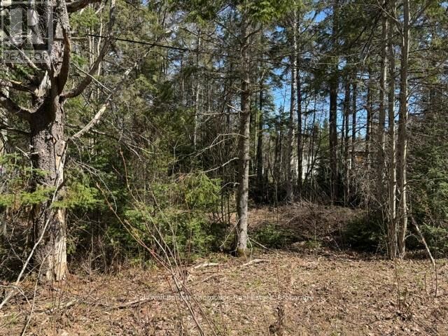 Property Photo: 000 Highway 518 West Highway ON P0A 1Y0