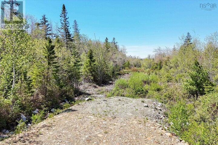 Property Photo:  Lot 14 Golden Horizon Drive  NS B0T 1T0 