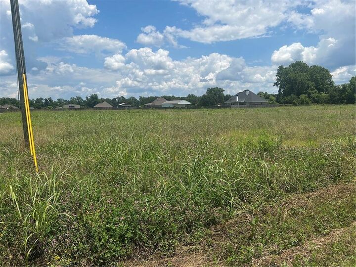 Property Photo:  Lot 1 School House Road  LA 71303 