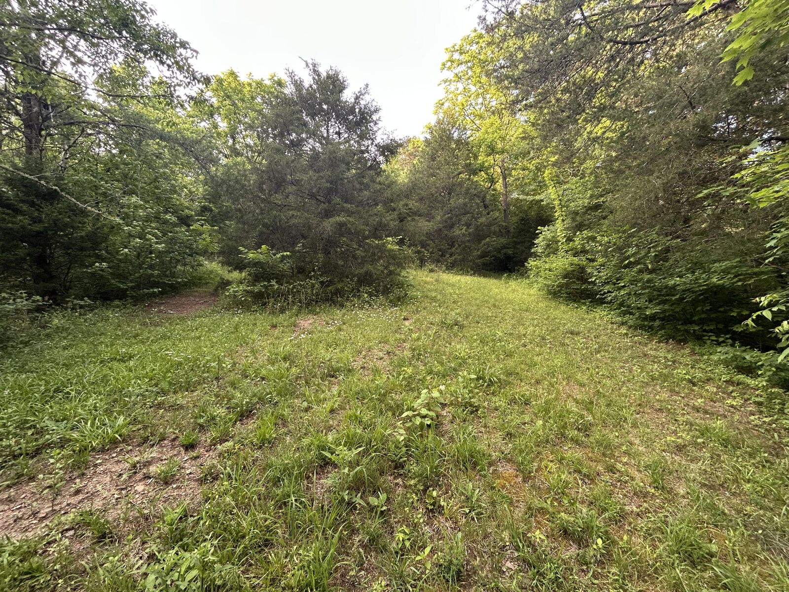 Property Photo:  000 Tazewell Highway  TN 37869 