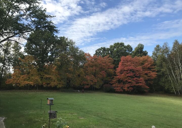 Property Photo: 7208 W Dickerson Lake Road MI 48838