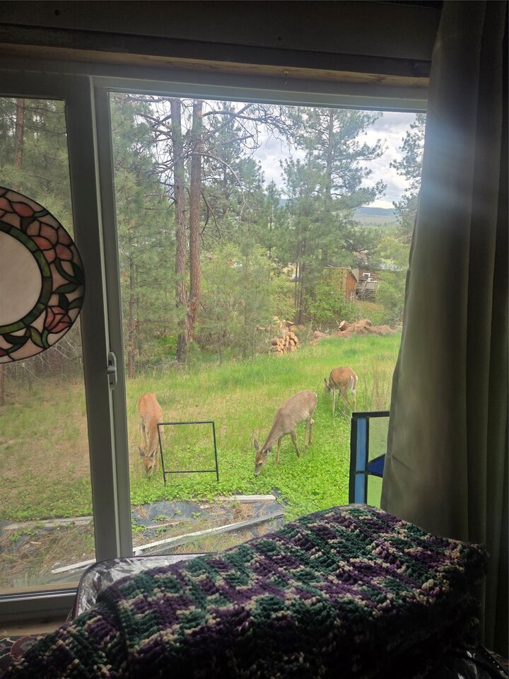 Property Photo:  1113 Wiench Way  MT 59828 