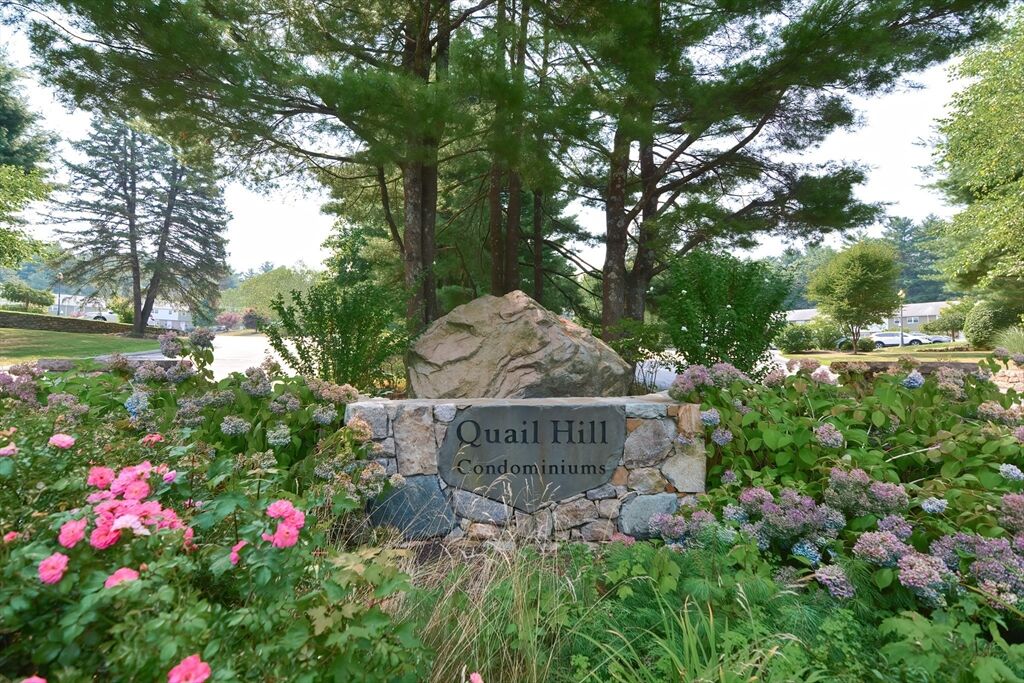 Property Photo:  5 Bayberry Circle 5  MA 02054 